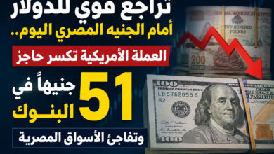 تراجع قوي للدولار أمام الجنيه المصري اليوم.. العملة الأمريكية تكسر حاجز 51 جنيهًا في البنوك وتفاجئ الأسواق المصرية
