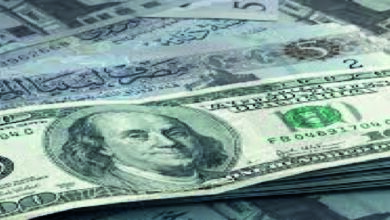 تحديث أسعار صرف الدينار الليبي مقابل الدولار اليوم 20 يونيو 2026 في السوق الرسمي والموازي مع تحركات جديدة بالسوق السوداء
