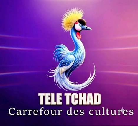 تردد قناة Tele Tchad الناقلة لكأس العالم 2026 مجانًا على النايل سات والأقمار الأخرى
