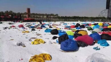 تفاصيل جديدة عن أزمة الفان زون في مصر بعد القبض على 10 متورطين في أعمال شغب