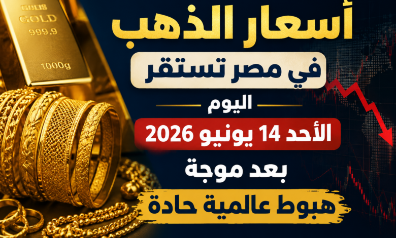 أسعار الذهب في مصر تستقر اليوم الأحد 14 يونيو 2026 بعد موجة هبوط عالمية حادة