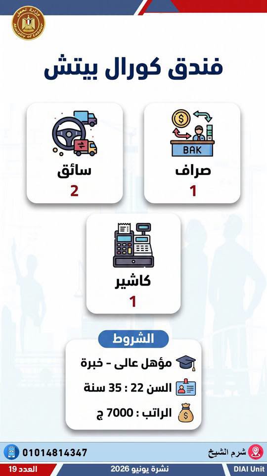 رابط التقديم على وظائف وزارة العمل 2026.. وظائف جديدة للمؤهلات المختلفة في 12 محافظة