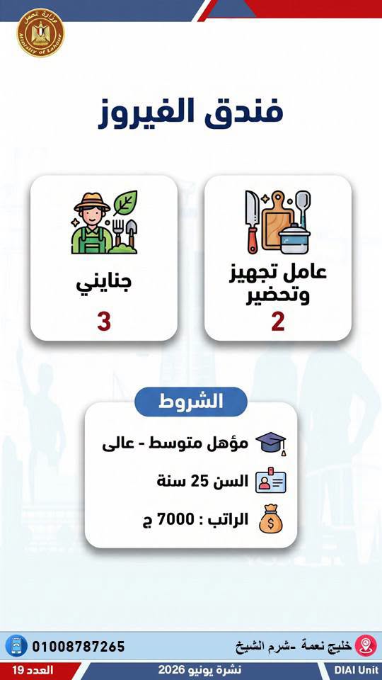 رابط التقديم على وظائف وزارة العمل 2026.. وظائف جديدة للمؤهلات المختلفة في 12 محافظة