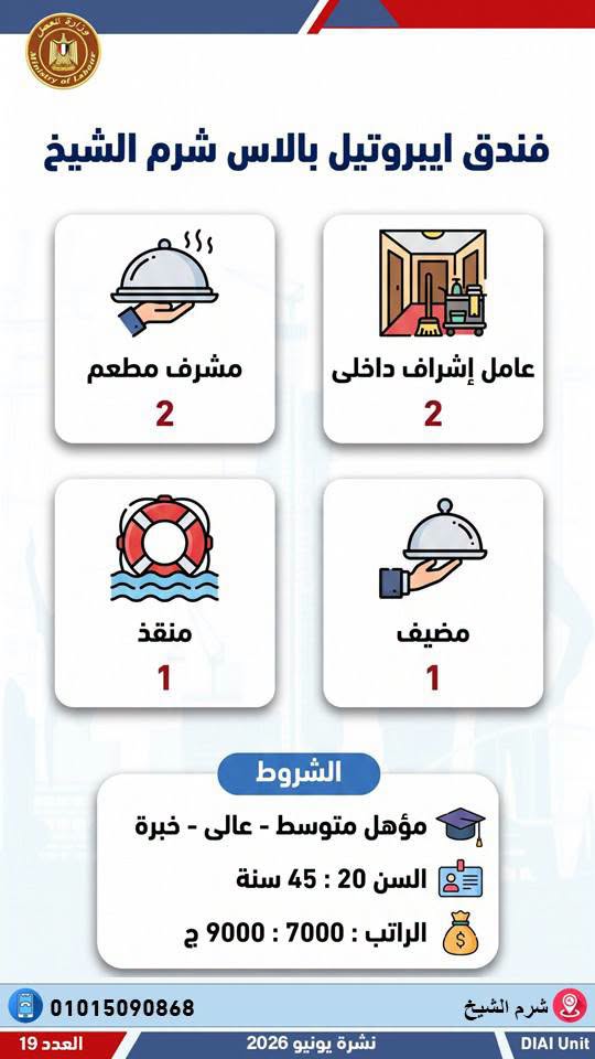 رابط التقديم على وظائف وزارة العمل 2026.. وظائف جديدة للمؤهلات المختلفة في 12 محافظة