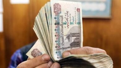 موعد صرف زيادة مرتبات العاملين بالدولة 2026 وقيمة الزيادة الجديدة بعد تطبيقها رسميًا