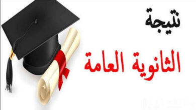 موعد ظهور نتيجة الثانوية العامة 2026 برقم الجلوس.. رابط الاستعلام الرسمي وخطوات الحصول على النتيجة