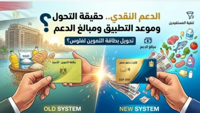 حقيقة صرف الدعم النقدي بدل التموين في يوليو 2026.. هل يبدأ التطبيق لأصحاب البطاقات؟