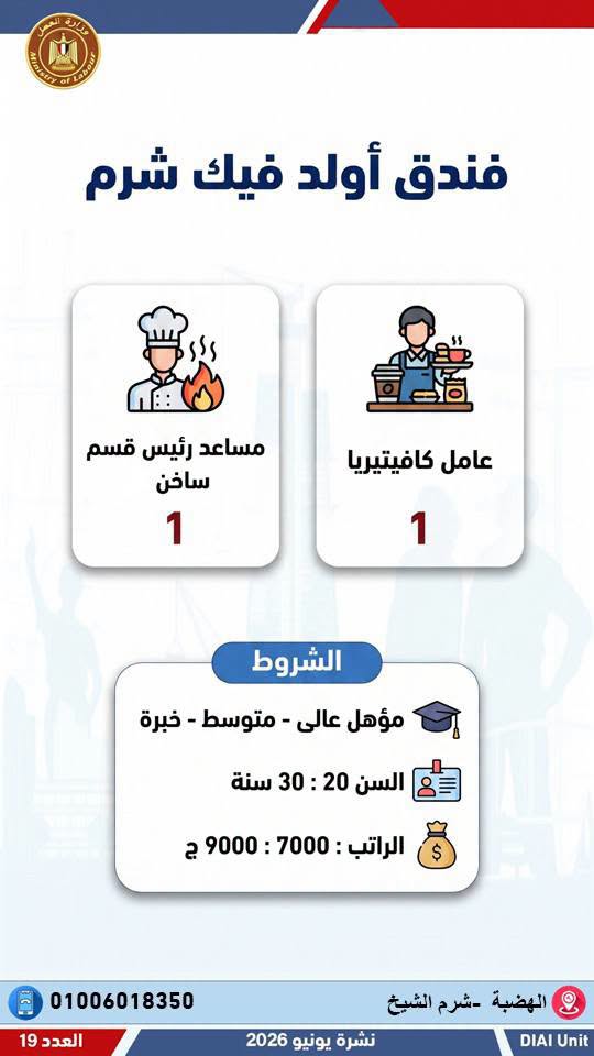 رابط التقديم على وظائف وزارة العمل 2026.. وظائف جديدة للمؤهلات المختلفة في 12 محافظة