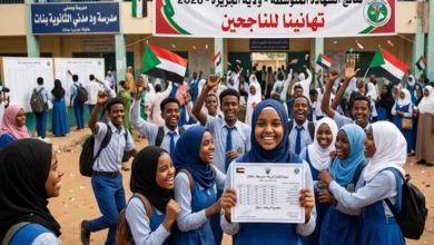 نتيجة الشهادة المتوسطة ولاية الجزيرة 2026 برقم الجلوس عبر الموقع الرسمي وخطوات الاستعلام الإلكتروني بالتفصيل