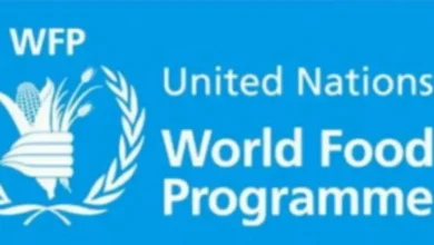 كيفية التسجيل في برنامج الغذاء العالمي WFP وتحديث البيانات إلكترونيًا