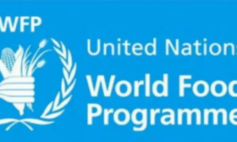كيفية التسجيل في برنامج الغذاء العالمي WFP وتحديث البيانات إلكترونيًا