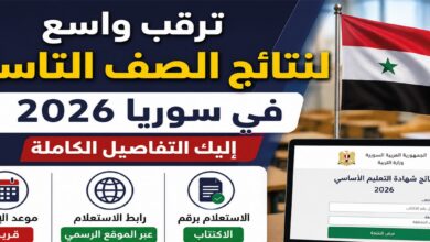 وزارة التربية السورية تعلن طريقة الاستعلام عن نتائج الصف التاسع 2026 والرابط الرسمي