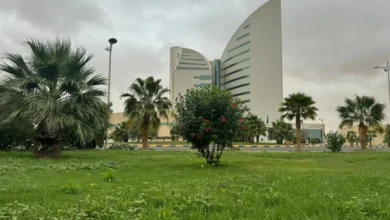 دليل القبول في جامعة نجران 1448.. شروط التسجيل وتخصصات البكالوريوس والدبلوم الجديدة