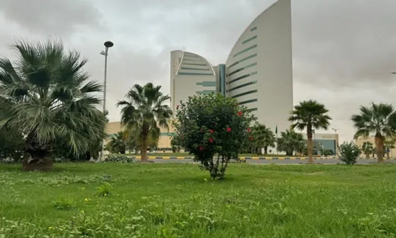 دليل القبول في جامعة نجران 1448.. شروط التسجيل وتخصصات البكالوريوس والدبلوم الجديدة