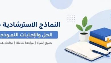 أقوى مراجعة إحصاء الثانوية العامة 2026.. تدرب على النماذج الاسترشادية الرسمية
