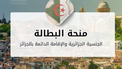 رابط التسجيل في منحة البطالة بالجزائر 2026.. الشروط الجديدة وخطوات التقديم بالتفصيل