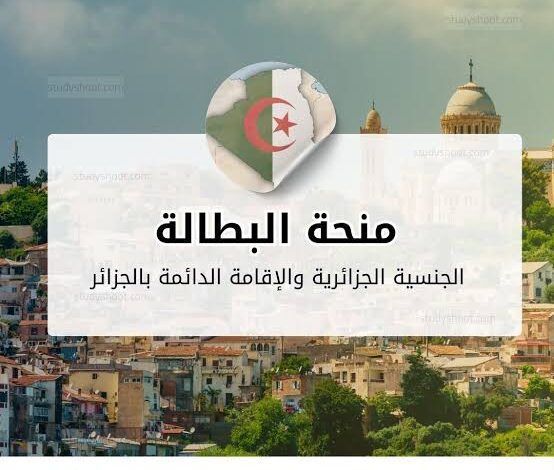 رابط التسجيل في منحة البطالة بالجزائر 2026.. الشروط الجديدة وخطوات التقديم بالتفصيل