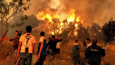 حرائق الجزائر اليوم.. أسباب اندلاع النيران والولاية الأكثر تضررًا بالتفاصيل
