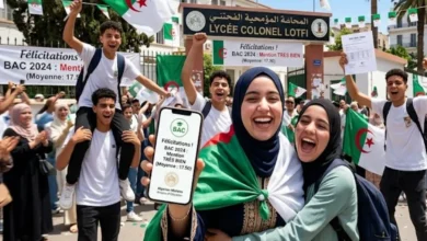 رسميًا.. استخرج نتائج بكالوريا الجزائر 2026 وكشف النقاط برقم التسجيل عبر موقع الديوان الوطني