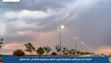 الأرصاد تحذر من طقس السعودية اليوم.. أمطار رعدية ورياح نشطة في عدة مناطق