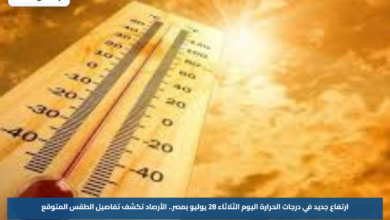 الأرصاد تحذر من موجة حر قياسية.. درجات الحرارة تقترب من 46 في الصعيد