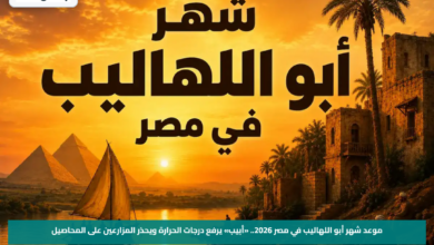 موعد شهر أبو اللهاليب في مصر 2026.. «أبيب» يرفع درجات الحرارة ويحذر المزارعين على المحاصيل