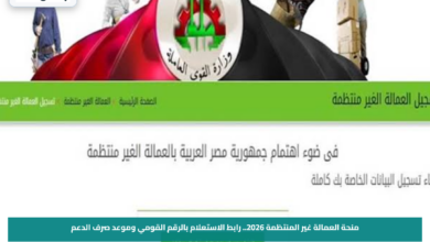 منحة العمالة غير المنتظمة 2026.. رابط الاستعلام بالرقم القومي وموعد صرف الدعم