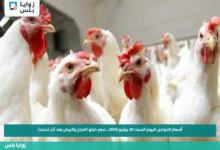 أسعار الدواجن اليوم السبت 25 يوليو 2026.. سعر كيلو الفراخ والبيض بعد آخر تحديث