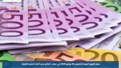 سعر اليورو اليوم الخميس 30 يوليو 2026 في مصر.. ارتفاع جديد أمام الجنيه بالبنوك