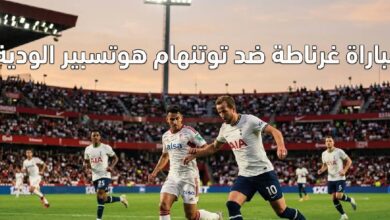 موعد مباراة غرناطة وتوتنهام اليوم والقناة الناقلة في المواجهة الودية