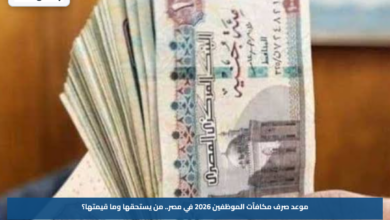 موعد صرف مكافآت الموظفين 2026 في مصر.. من يستحقها وما قيمتها؟