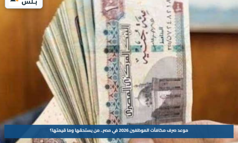 موعد صرف مكافآت الموظفين 2026 في مصر.. من يستحقها وما قيمتها؟