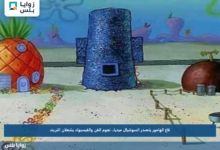 قاع الهامور يتصدر السوشيال ميديا.. نجوم الفن والفيسبوك يشعلان التريند