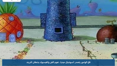 قاع الهامور يتصدر السوشيال ميديا.. نجوم الفن والفيسبوك يشعلان التريند