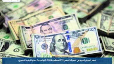 سعر الدولار اليوم في مصر الخميس 13 أغسطس 2026.. آخر تحديث أمام الجنيه المصري