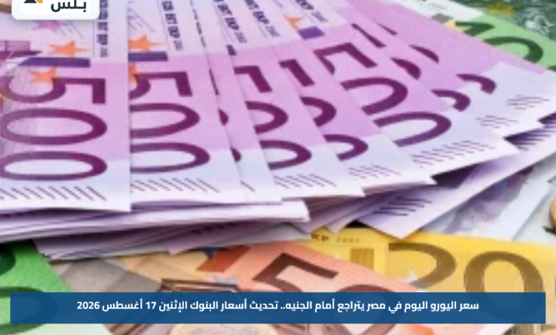 سعر اليورو اليوم في مصر يتراجع أمام الجنيه.. تحديث أسعار البنوك الإثنين 17 أغسطس 2026