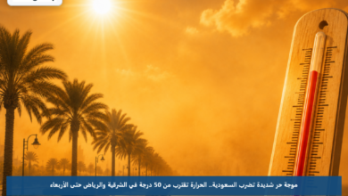 موجة حر شديدة تضرب السعودية.. الحرارة تقترب من 50 درجة في الشرقية والرياض حتى الأربعاء