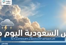 طقس السعودية اليوم.. أمطار رعدية وسيول في مناطق وحرارة تصل إلى 46 درجة