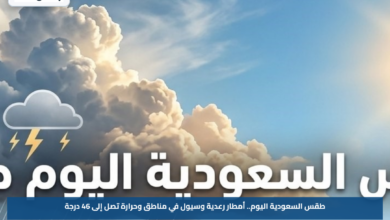 طقس السعودية اليوم.. أمطار رعدية وسيول في مناطق وحرارة تصل إلى 46 درجة