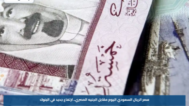 سعر الريال السعودي اليوم مقابل الجنيه المصري.. ارتفاع جديد في البنوك