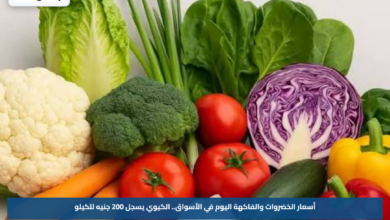 أسعار الخضروات والفاكهة اليوم في الأسواق.. الكيوي يسجل 200 جنيه للكيلو