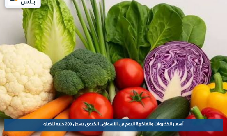 أسعار الخضروات والفاكهة اليوم في الأسواق.. الكيوي يسجل 200 جنيه للكيلو