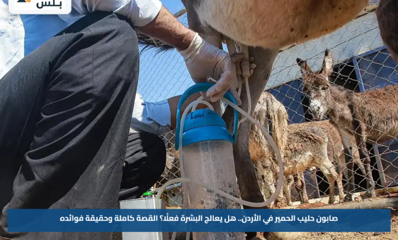 صابون حليب الحمير في الأردن.. هل يعالج البشرة فعلًا؟ القصة كاملة وحقيقة فوائده