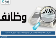 قدم الآن.. وظائف وزارة العمل للشباب في سوهاج وشرم الشيخ برواتب تصل إلى 10 آلاف جنيه