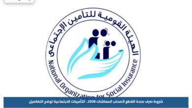 شروط صرف منحة القطع لأصحاب المعاشات 2026.. التأمينات الاجتماعية توضح التفاصيل