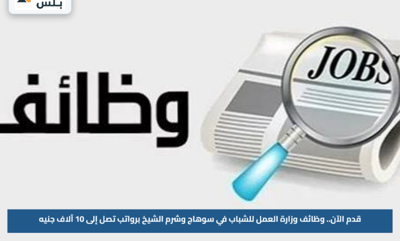قدم الآن.. وظائف وزارة العمل للشباب في سوهاج وشرم الشيخ برواتب تصل إلى 10 آلاف جنيه