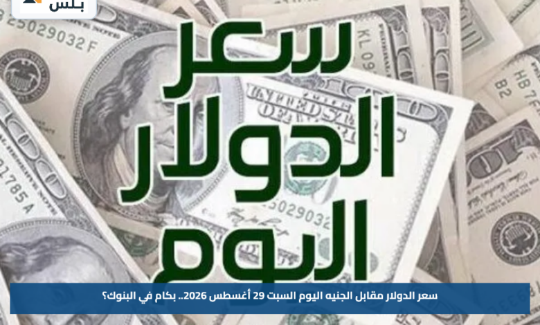 سعر الدولار مقابل الجنيه اليوم السبت 29 أغسطس 2026.. بكام في البنوك؟