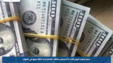 سعر الدولار اليوم الأحد 9 أغسطس 2026.. الأخضر تحت الـ50 جنيهًا في البنوك