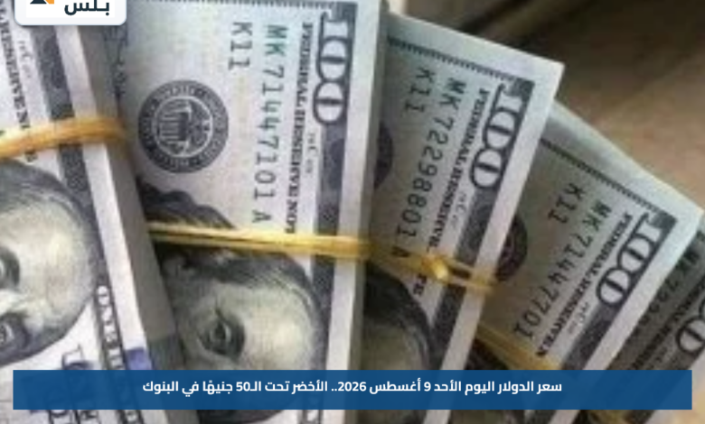 سعر الدولار اليوم الأحد 9 أغسطس 2026.. الأخضر تحت الـ50 جنيهًا في البنوك