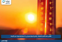 طقس مصر الأيام المقبلة.. ارتفاع الحرارة يصل إلى 43 درجة وتحذيرات من الأرصاد